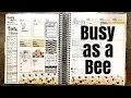 Plan With Me Erin Condren Vertical Life Planner Design Pandemonium Bee Kit