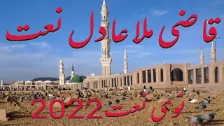 قاضى ملا عادل نوى ترانى Qazi Mulla Adel 