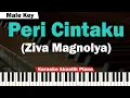 Download Lagu Ziva Magnolya - Peri Cintaku Karaoke Piano MALE KEY