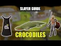 OSRS Crocodile Slayer Task Guide With Safespot - Low Requirements