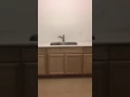 efficiency for rent