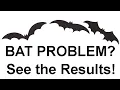 Thousands of Bats Flee Real Customer Uses Cleanrth CB006 Bat Repeller - Watch the Proof