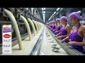 Lagu Darigold's Half and Half Production Process | Darigold Factory