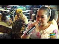 Download Lagu PAYUNG BIRU \u0026 KALAH SAINGAN MIMI Hj DARINIH  DWI WARNA