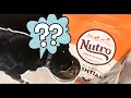IS NUTRO DOG FOOD ANY GOOD