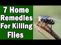 Download Lagu 7 Home Remedies For Killing House Flies