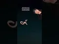 deep sea lakes