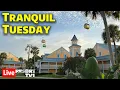 Download Lagu 🔴Live: Tranquil Tuesday at the Disney Skyliner Resorts - Walt Disney World Live Stream