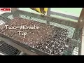 The Best Seed Starting Mix for Growing Vegetable Transplants