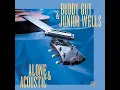 I'm In The Mood - Buddy Guy & Junior Wells