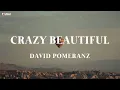 David Pomeranz - Crazy Beautiful