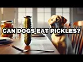 Can Dogs Eat Pickles Explained
