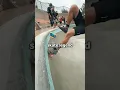 Lagu Skating for a Legend! 🛹