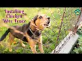 How to Install Chicken Wire Fence for Dogs How to Install Chicken Wire Fence for Garden