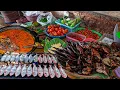 Download Lagu LANGSUNG DIASAP DITEMPAT, IKANNYA PILIH SENDIRI SAMBEL JERUKNYA JUARA.