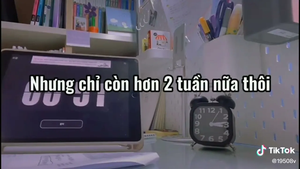 [Study Account]👍|Động lực học tập|#14💸Học Tập là con đường ngắn nhất dẫn đến thành công📕