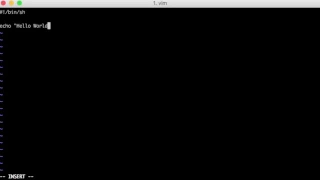 Hello World in Bash sh