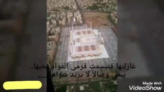 انشودة غازلتها فتبسمت فرمي الفؤاد بحبها دندنها