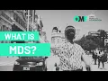 What is the Mobility Data Specification Getting to Know MDS