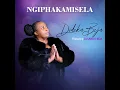 Ngiphakamisela