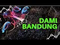 DANGDUT ACADEMY MENGGOYANG INDONESIA (DAMI) INDOSIAR LIVE BANDUNG 2017-DRONE VIDEO