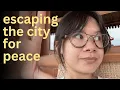 Download Lagu home for spring | indonesian village life, family, wedding, grocery shopping