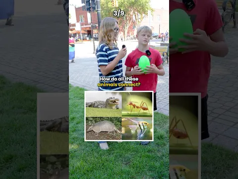 Kids vs $500 Quiz