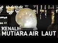 Download Lagu Gemar Perhiasan Mutiara Asli Laut? Cek Harganya
