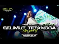 Download Lagu DJ SELIMUT TETANGGA TREND VIRAL PARTY VELOCITY X MELODY GOYANG‼️BY DMC OFFICIAL