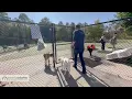 Bunny makes friends at Short Pump Park