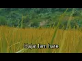Download Lagu Status WA Aceh keren