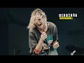 Download Lagu Weatherman - Dead Sara - Live at Welcome to Rockville Festival 2021
