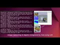 Object Recognition and Image Captioning in PyBullet Using LLM and YOLO