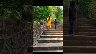                                                                          دندنها