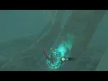 Korok Seed 277 Hebra Great Skeleton The Legend of Zelda Tears of the Kingdom
