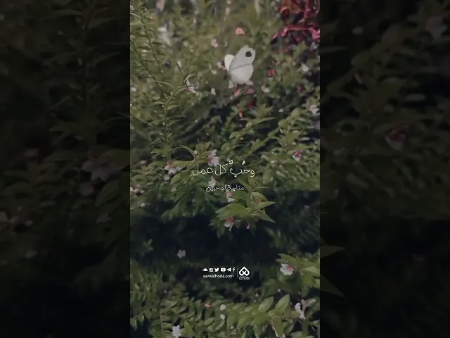 ⁣اللهم ارزقني حبَّــــــــــــــك .. #صوت_الهدى #دعاء #تصميم #الخامنئي