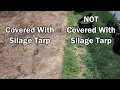 Kill Weeds Easy With a Silage Tarp Zero Chemicals Minimal Effort