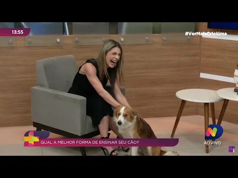 Adestrador Irio Minotto e cãozinho Barry dão dicas de comportamento canino no Ver Mais