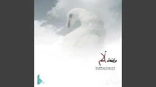 وقفة على الأنصار 