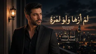 لم أرها ولو لمرة     لكنني أحببتها ألف مرة  دندنها