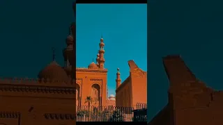 سبحت لله في العش الطيور ترسل الالحان عطرا في الزهور تصنع العش وتسعي في البكور نصر الدين طوبار 