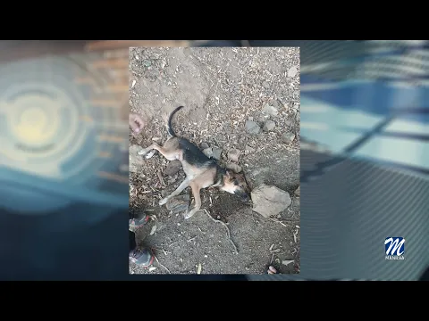 YouTube player