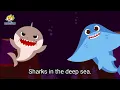 Download Lagu Pinkfong Friends on the Ocean Floor Song Lyrics (2021)
