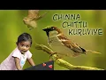 Download Lagu Chinna Chittu Kuruviye | Jenita Liana | Church Choir | Tamil Christian Song
