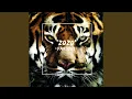 Download Lagu Bengaltiger
