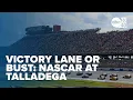 Victory lane or bust The heart-pounding allure of NASCAR at Talladega
