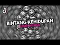 Lagu DJ BINTANG KEHIDUPAN ♪ - SOUND FYP TIKTOK YANG KALIAN CARI
