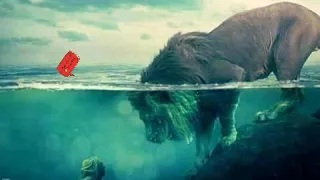 الاسد والجمل علي فاروق دندنها