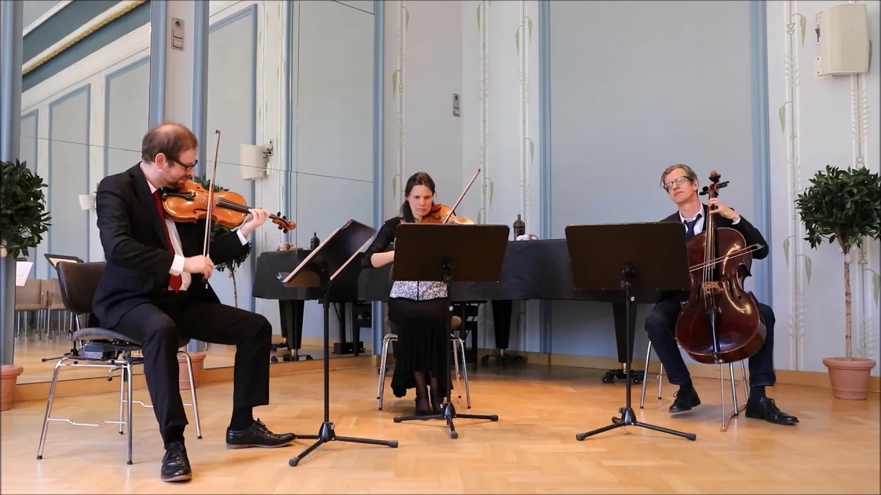 Haydn - "Londoner Trio" Nr. 1 C-Dur | Trio Divertimento der Chursächsischen Philharmonie Bad Elster