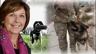 Interview with a dog team who searched for Nancy Guthrie My insights as a dog trainer